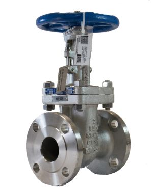 Válvula de Compuerta (Gate Valve)