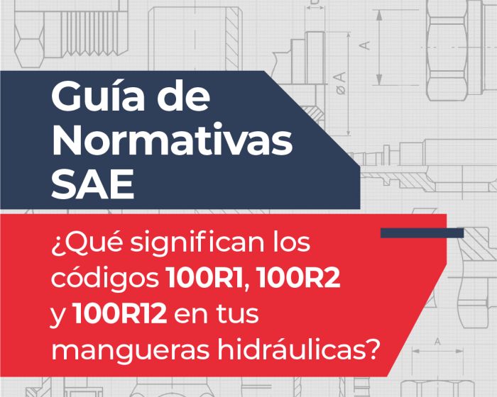 Guía Normativa SAE_Post LK 1080x1350